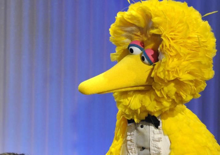 'Sesame Street Presents: Follow That Bird'